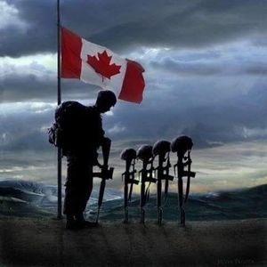 Meet your Posher, Laurie